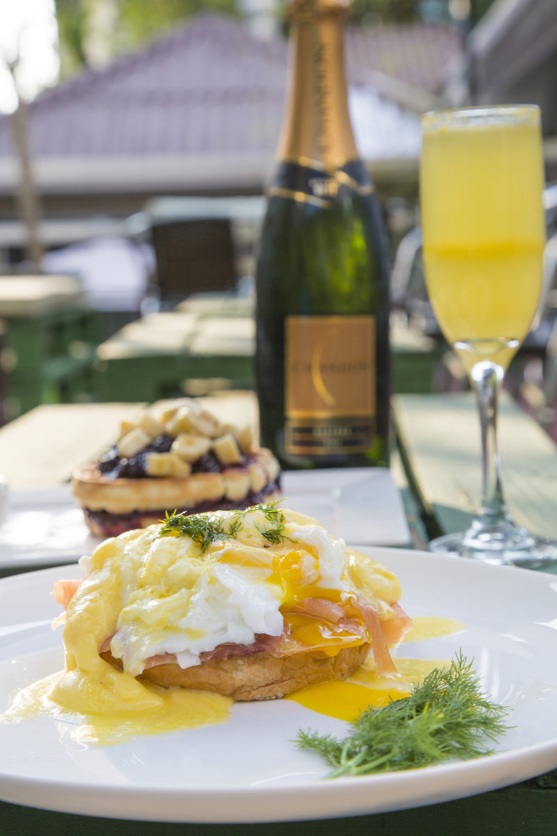 Ovos Benedict com Salmão defumado e pesto de Dill Wafle com banana, calda de frutas vermelhas e Xarope de Bordo incluso a sua escolha drinks - Mimosa, Bellini, Bloody Mary café, café com leite ou chá